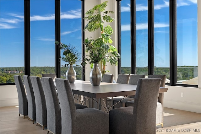 dining room featuring light hardwood / wood-style flooring