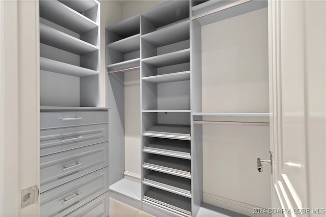 view of spacious closet