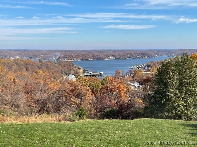 property view of water