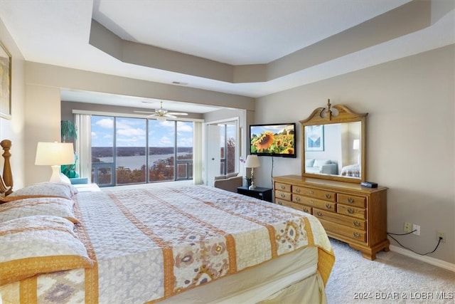 carpeted bedroom featuring a raised ceiling