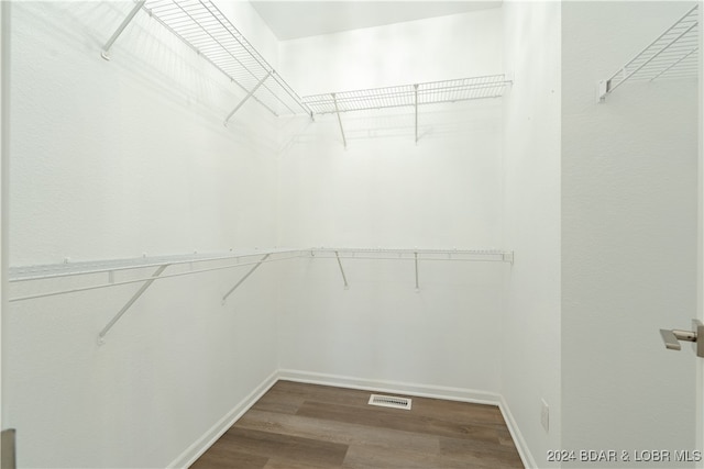 spacious closet with wood-type flooring