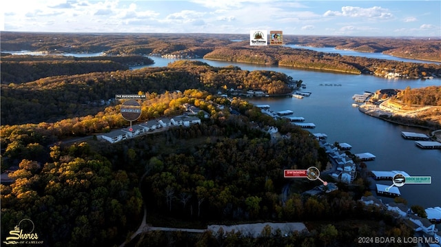 bird's eye view with a water view