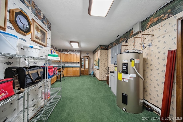 basement featuring dark carpet and water heater