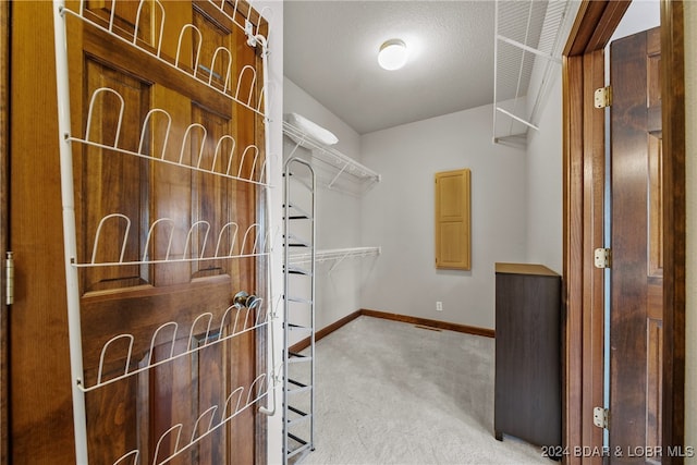 spacious closet with light carpet