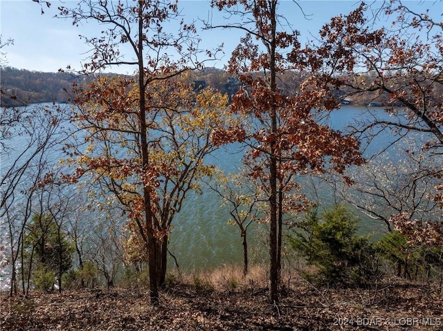 1026 Grandview Ln, Linn Creek, MO 65052 - water view featuring a forest