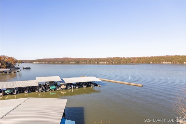 dock area with a water view