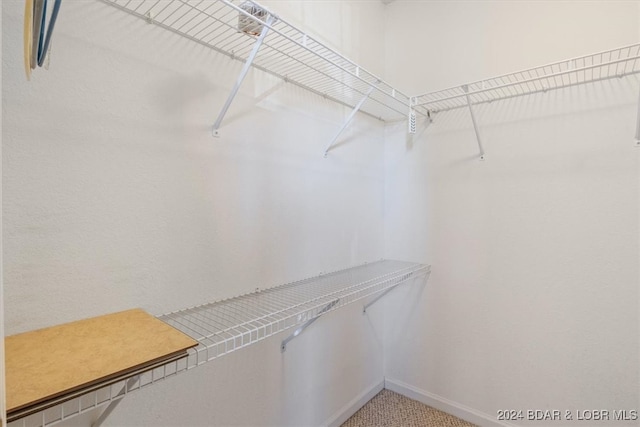 walk in closet with carpet floors