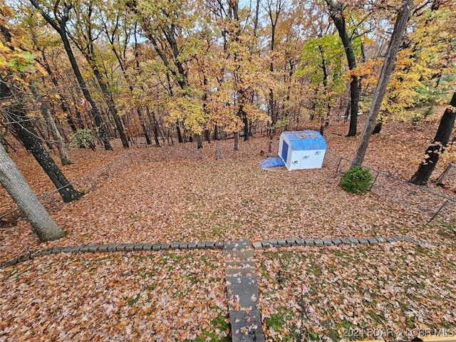 view of yard with a shed