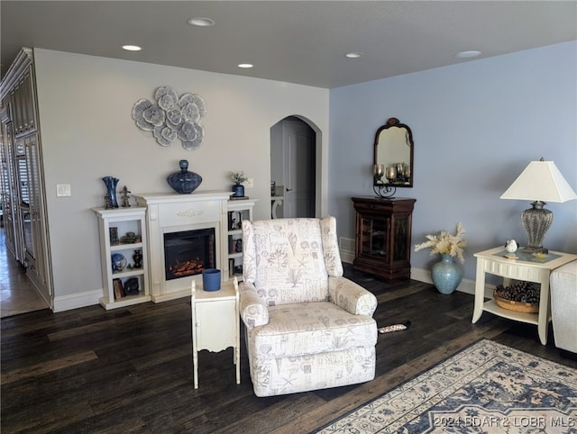 living area with dark hardwood / wood-style floors