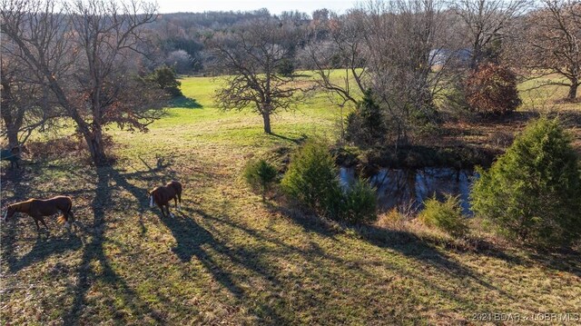 aerial view with a rural view and a water view