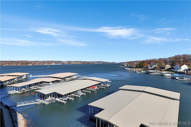 dock area with a water view