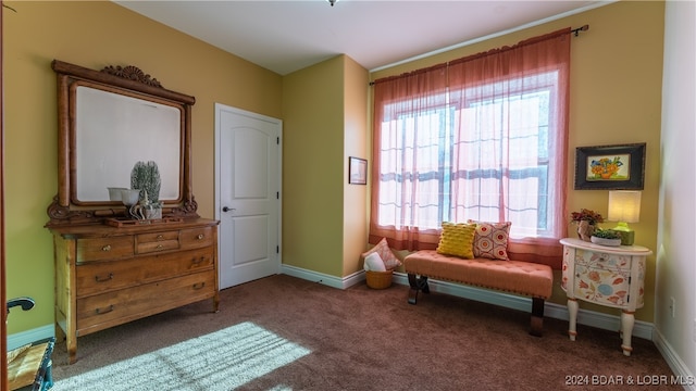 living area with carpet floors