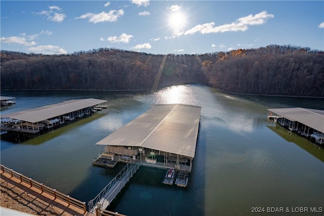 611 Lazy Days Rd Unit C9, Osage Beach, MO 65065 - dock area featuring a wooded view and a water view