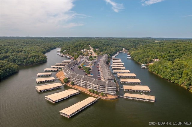 611 Lazy Days Rd Unit C9, Osage Beach, MO 65065 - bird's eye view of a forest and a nearby body of water