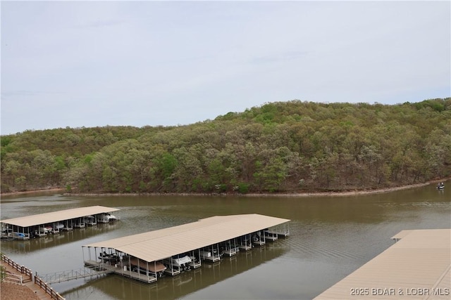 611 Lazy Days Rd Unit C9, Osage Beach, MO 65065 - dock with a wooded view and a water view