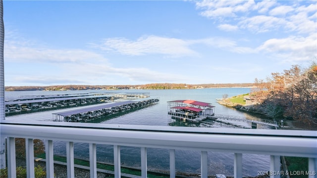 property view of water with a dock