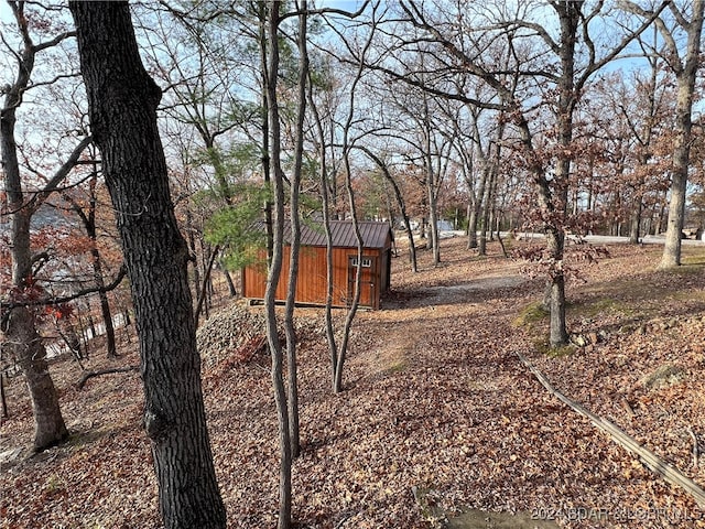 view of yard featuring a storage shed