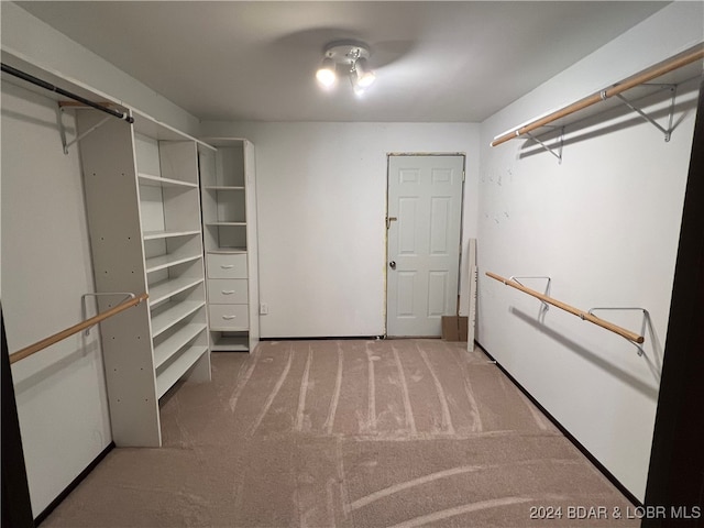 spacious closet featuring carpet floors