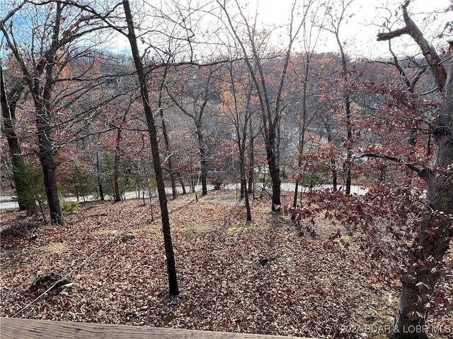 view of landscape featuring a water view