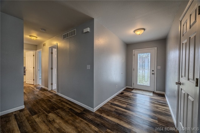 foyer entrance featuring dark wood-type flooring