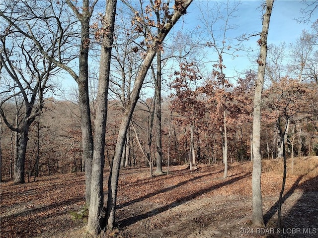 view of landscape featuring a wooded view