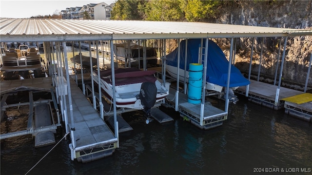 dock area with a water view