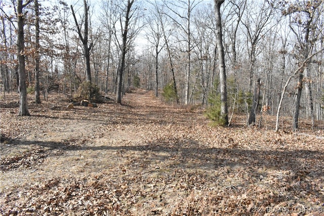 LOT16 Indian Creek Rnch, Barnett MO, 65026 land for sale