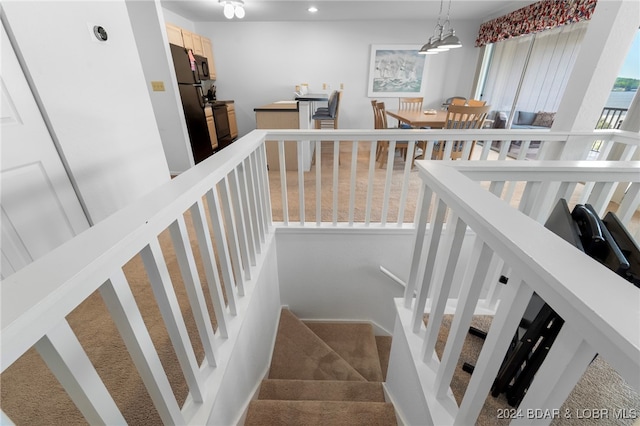 staircase with carpet floors