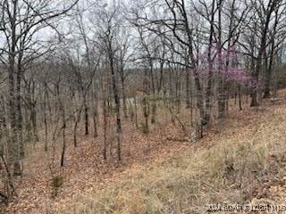 Dover Ct, Camdenton MO, 65020 land for sale