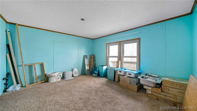 miscellaneous room featuring carpet floors, a textured ceiling, and ornamental molding