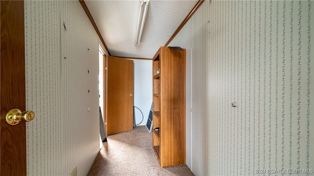 hallway featuring carpet floors and a textured ceiling