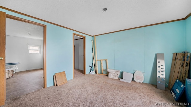 interior space with crown molding, light colored carpet, and a textured ceiling