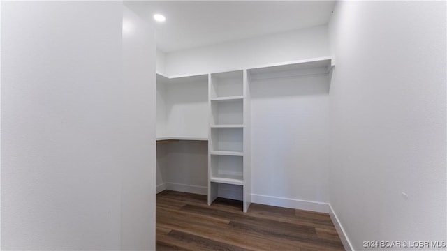 walk in closet with dark wood finished floors