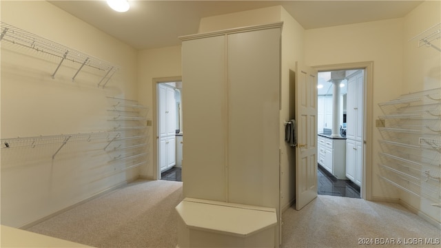 spacious closet with carpet