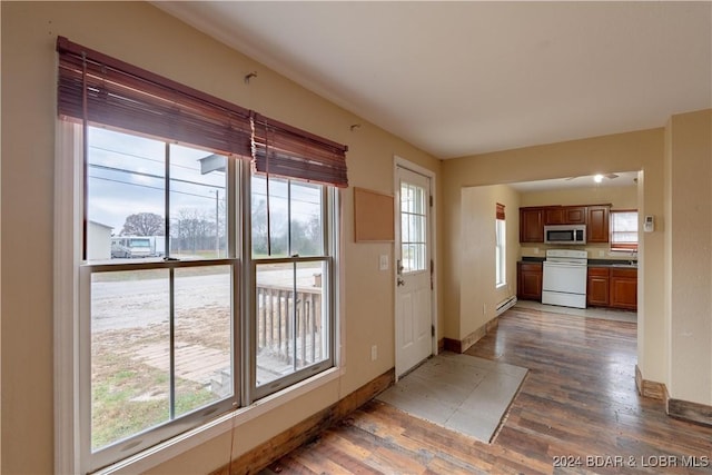 doorway to outside with dark hardwood / wood-style flooring, a healthy amount of sunlight, a baseboard radiator, and sink