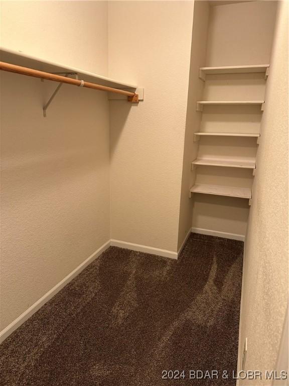 spacious closet featuring dark colored carpet