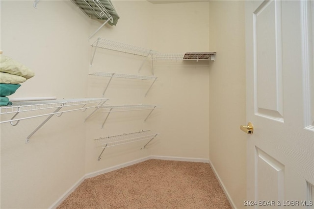 spacious closet with carpet