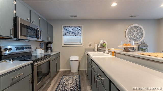 kitchen with appliances with stainless steel finishes, dark hardwood / wood-style flooring, and sink