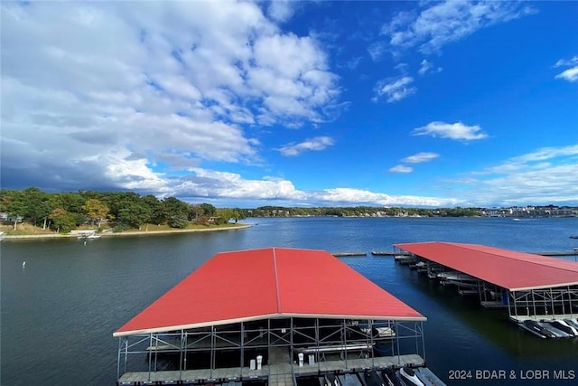 dock area with a water view