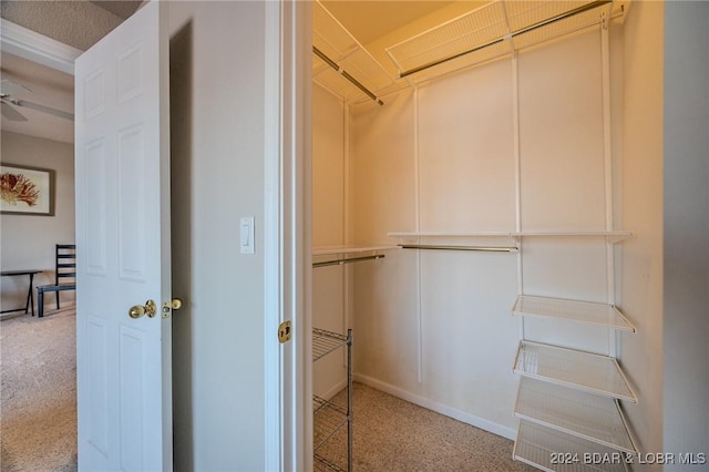 spacious closet with carpet flooring and ceiling fan