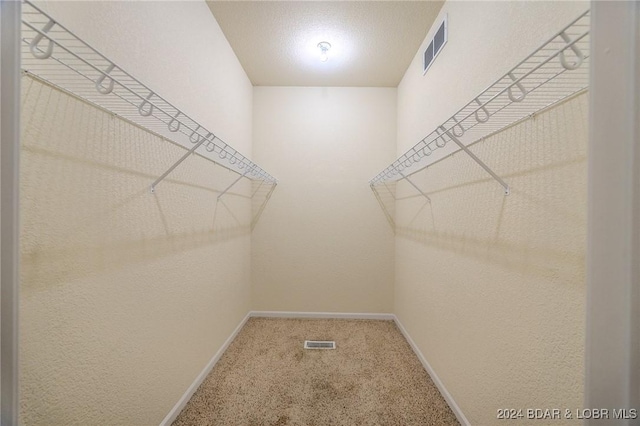 spacious closet featuring carpet