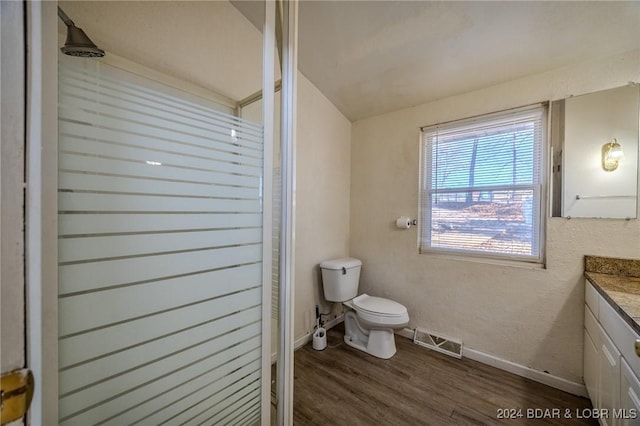 bathroom featuring toilet, vanity, and hardwood / wood-style flooring