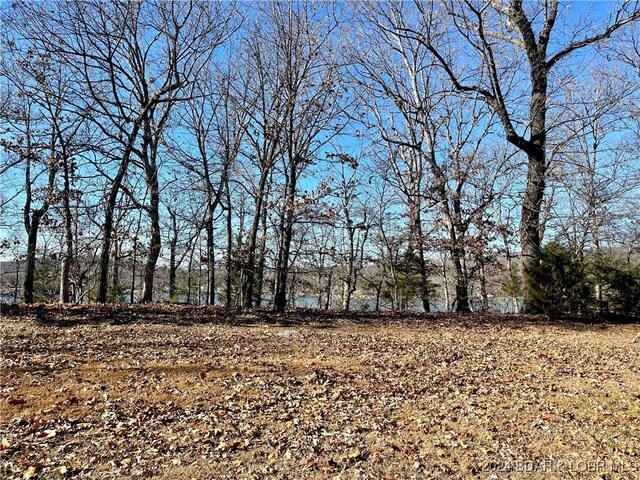 Big Island Dr, Roach, MO 65787 - photo 9