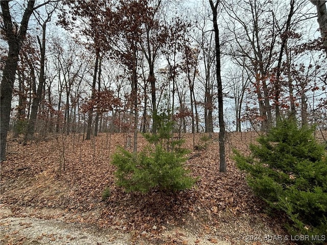 Listing photo 3 for Las Campanas Ct Lot # 993, Sunrise Beach MO 65079