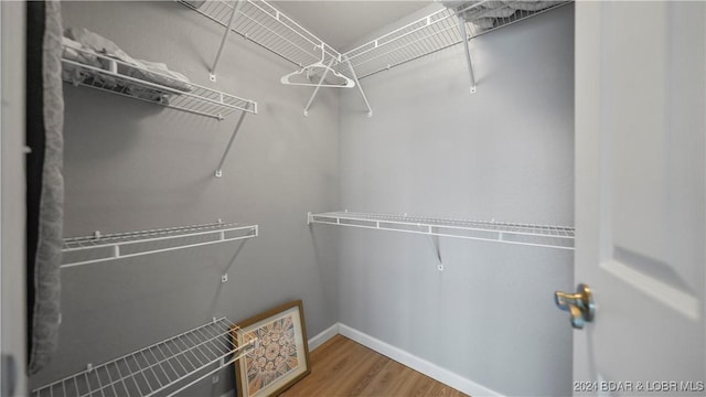 spacious closet featuring hardwood / wood-style flooring