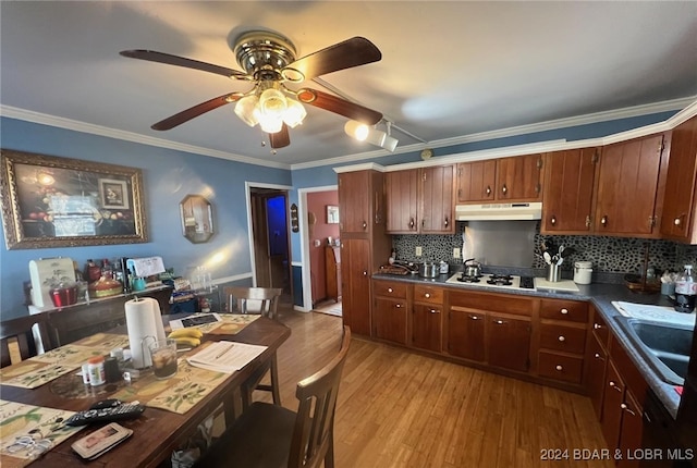 kitchen featuring light wood-style flooring, under cabinet range hood, ornamental molding, tasteful backsplash, and dark countertops