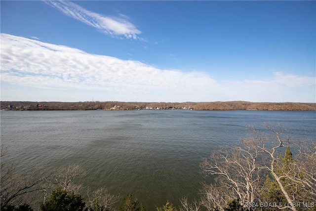 property view of water