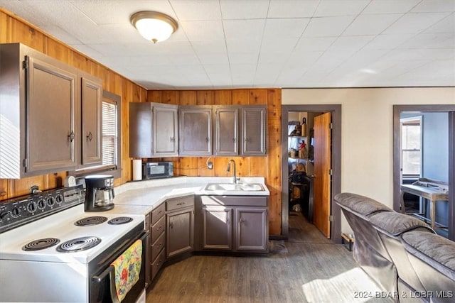 kitchen featuring sink, electric range, dark hardwood / wood-style floors, and wood walls