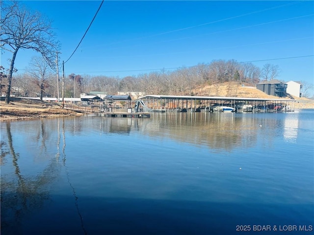 view of water feature with a dock