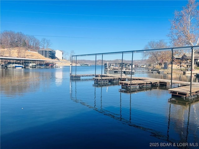 dock area with a water view